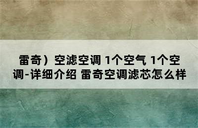 （Rexchi/雷奇）空滤空调 1个空气+1个空调-详细介绍 雷奇空调滤芯怎么样